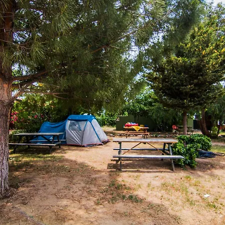 Agora Sanat Koeyue * Ezine