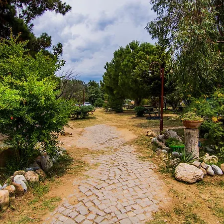 Agora Sanat Koeyue *