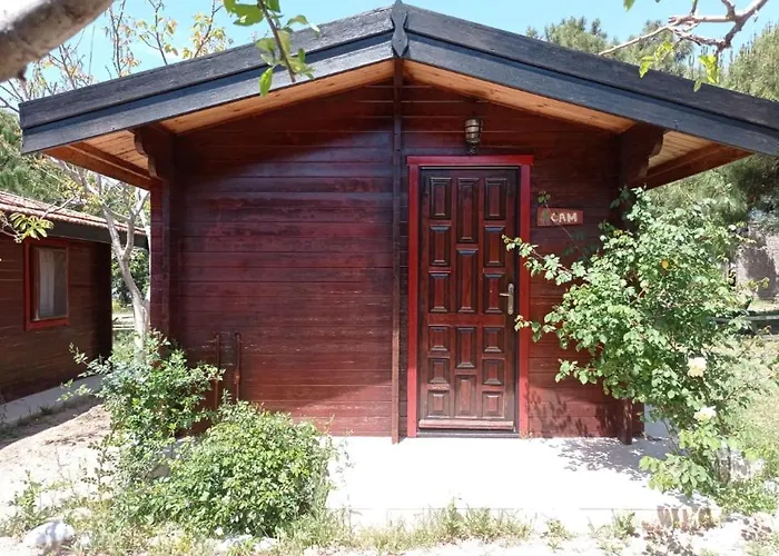 Agora Sanat Koeyue *