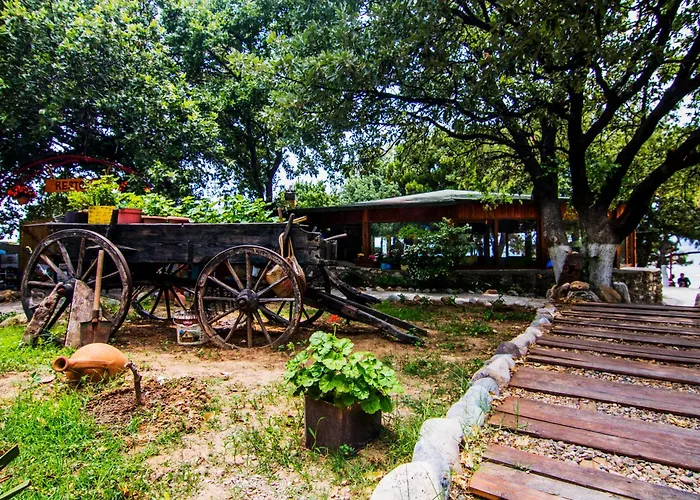 Parque de Campismo Agora Sanat Koeyue *
