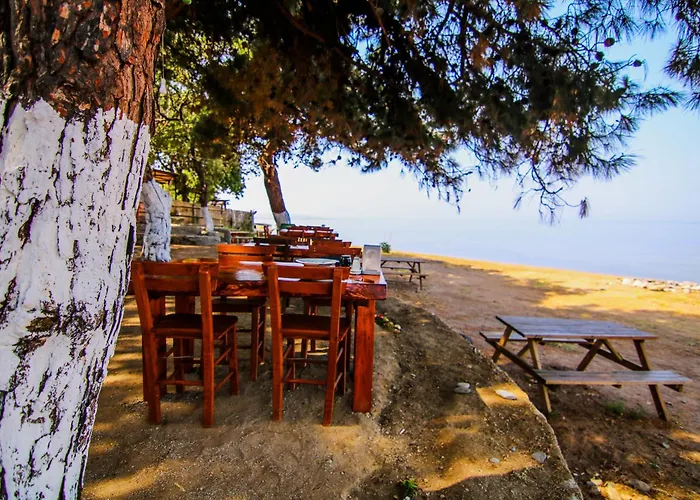 Agora Sanat Koeyue * Ezine