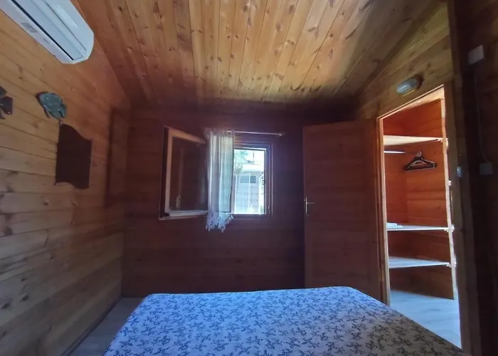 Agora Sanat Koeyue * Ezine