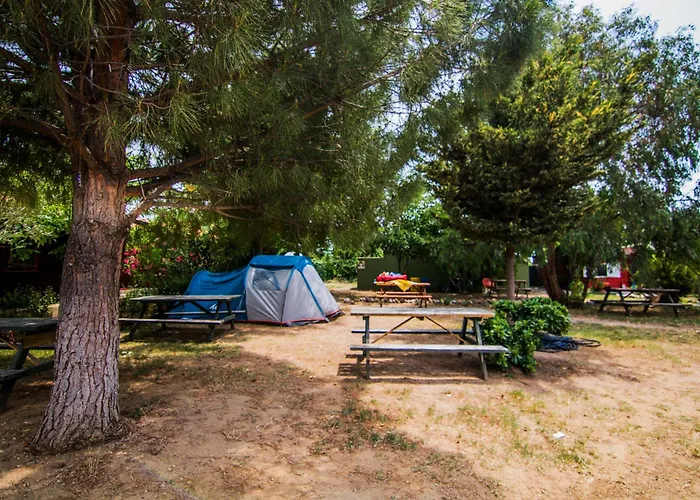 Agora Sanat Koeyue * Ezine