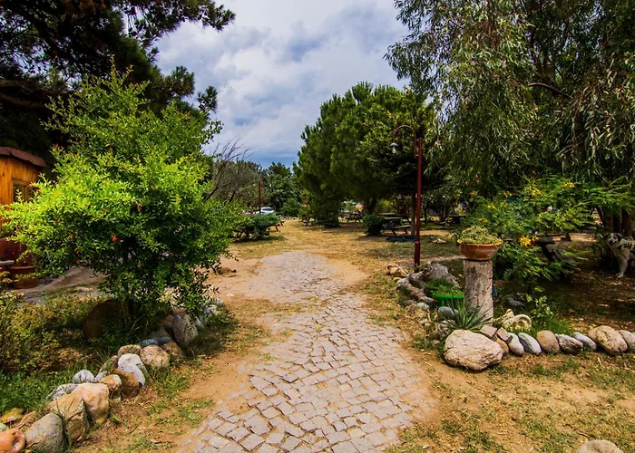 Agora Sanat Koeyue *